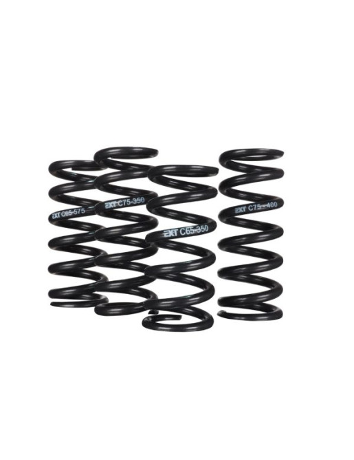 EXT-coil springs